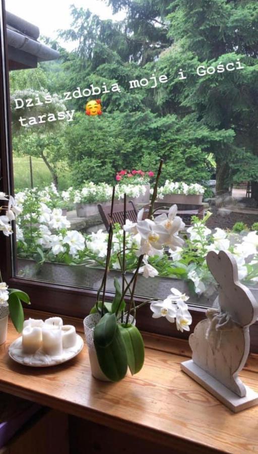 Poncyljuszowka Appartement Szczyrk Buitenkant foto